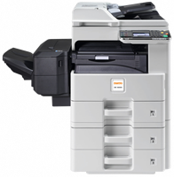 CD 5025