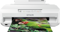 Epson Expression Photo XP-55 printer 
