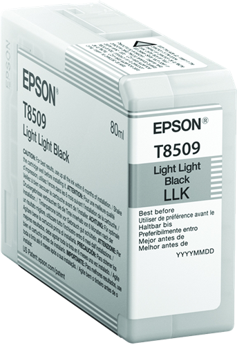 Epson SureColor SC-P800 C13T850900